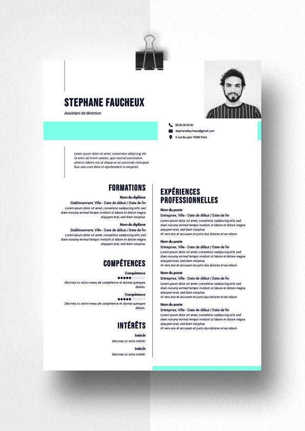 stephane cv simple