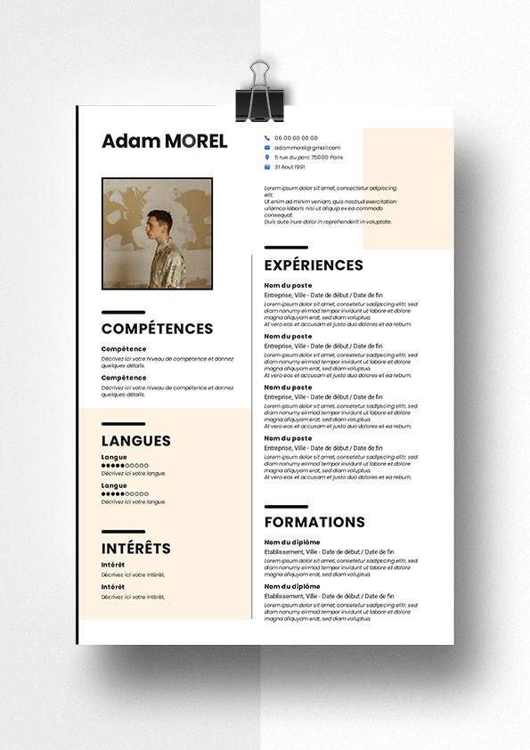 modele cv manutentionnaire